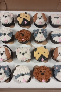 20231209_061111-Copy