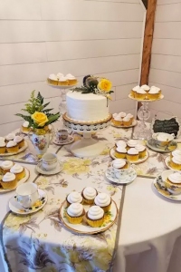 cake-cupcakes